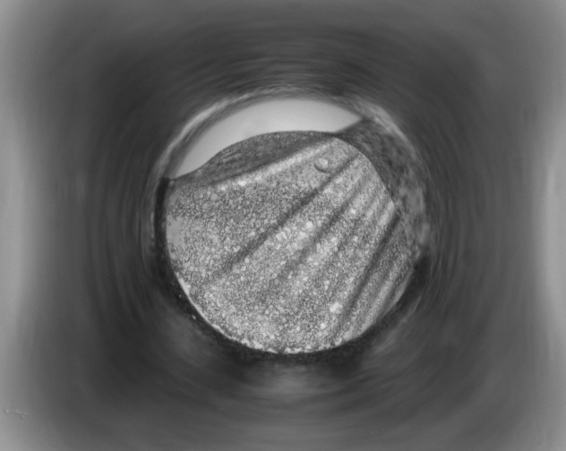 X0000083580531200703091700