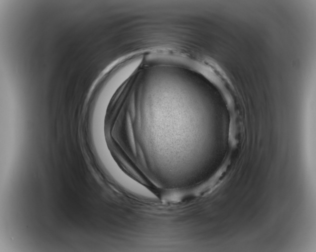X0000083580532200703091700