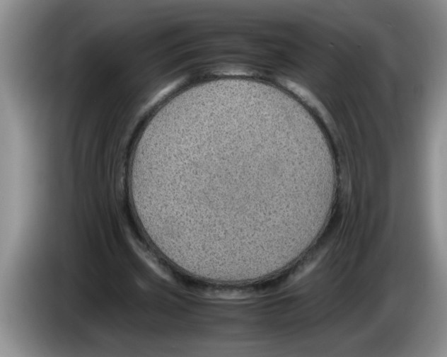 X0000083580533200703091700