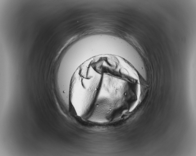 X0000083580534200703091700