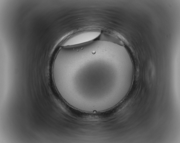 X0000083580535200703091700