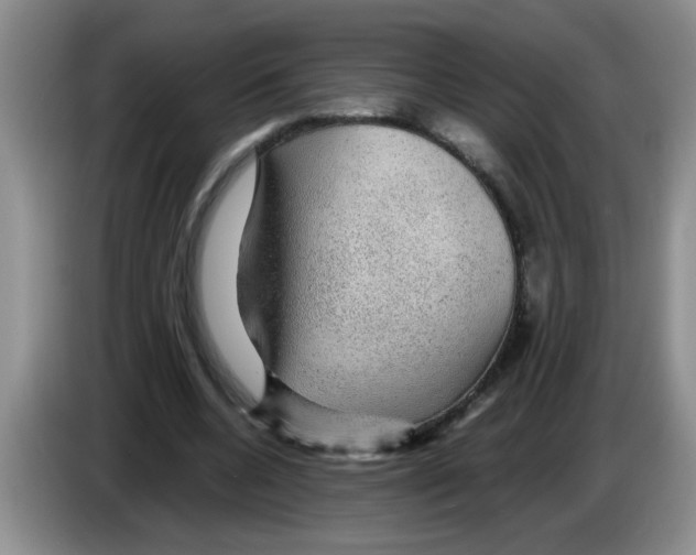 X0000083580536200703091700