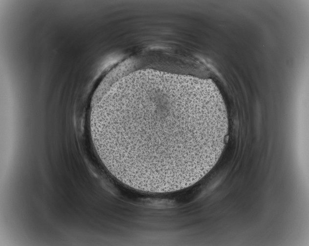 X0000083580539200703091700