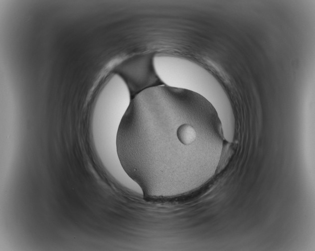 X0000083580540200703091700