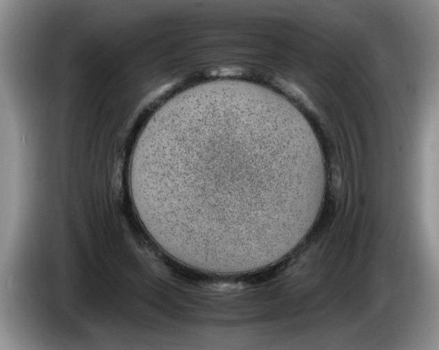 X0000083580543200703091700