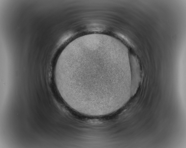 X0000083580544200703091700