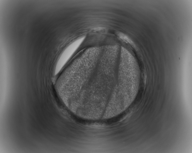 X0000083580546200703091700