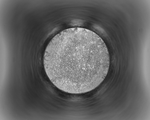X0000083580547200703091700
