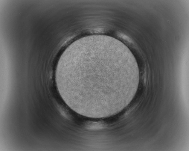 X0000083580548200703091700