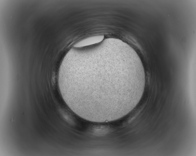 X0000083580549200703091700