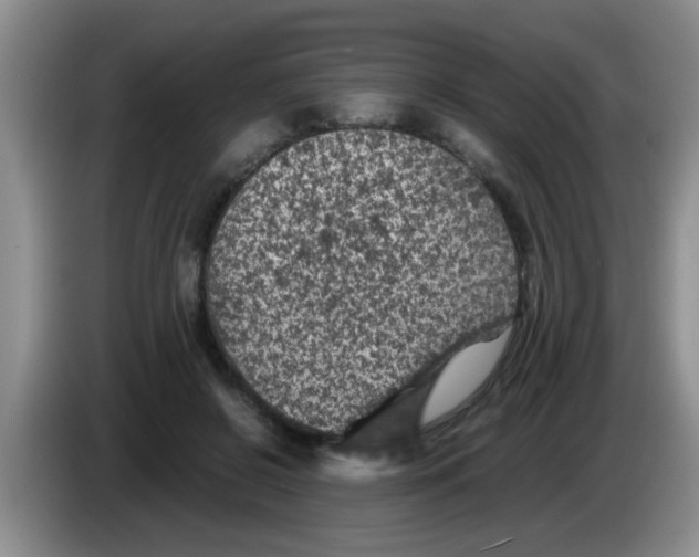 X0000083580550200703091700