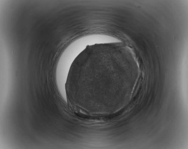 X0000083580552200703091700
