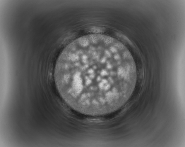 X0000083580553200703091700