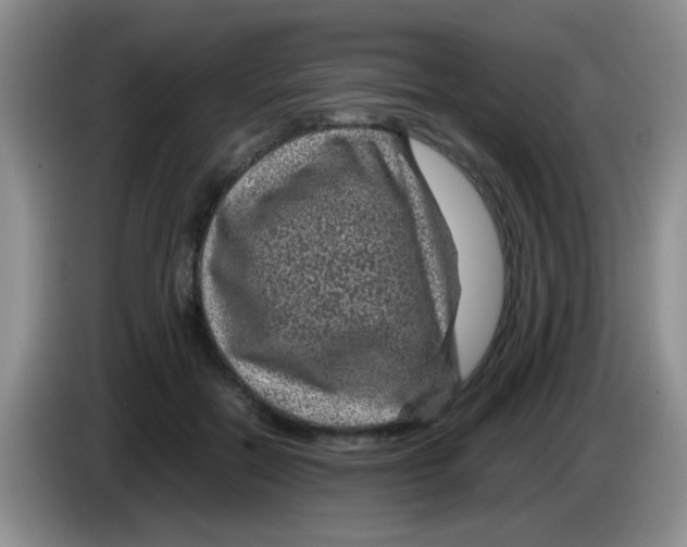 X0000083580554200703091700