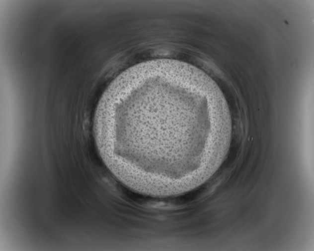 X0000083580557200703091701