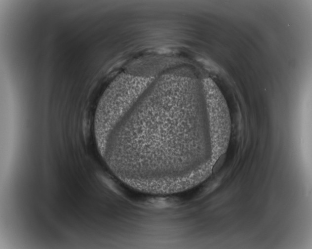 X0000083580558200703091701