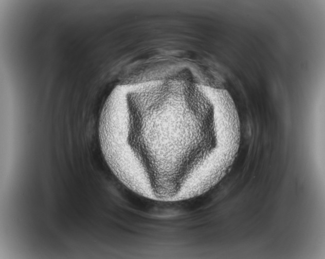 X0000083580559200703091701