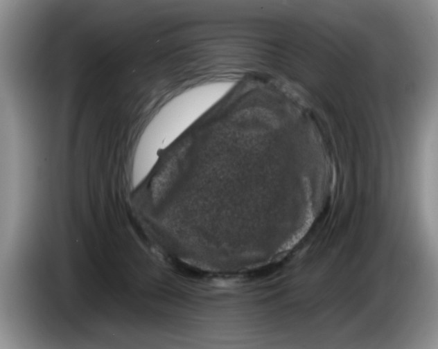 X0000083580560200703091701