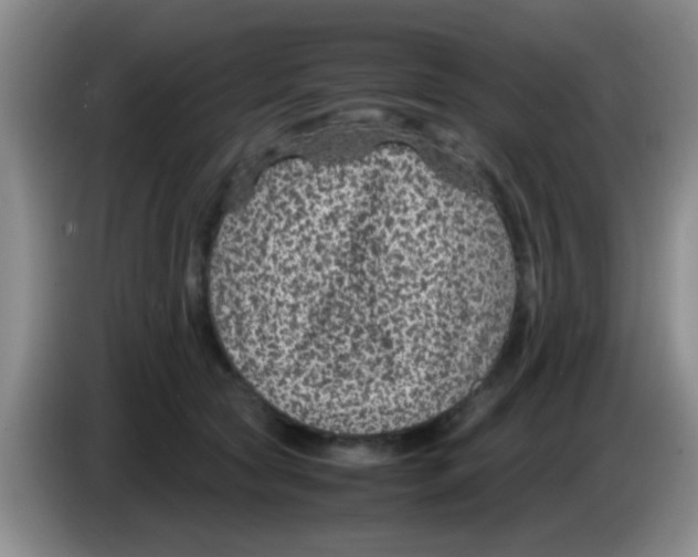 X0000083580561200703091701