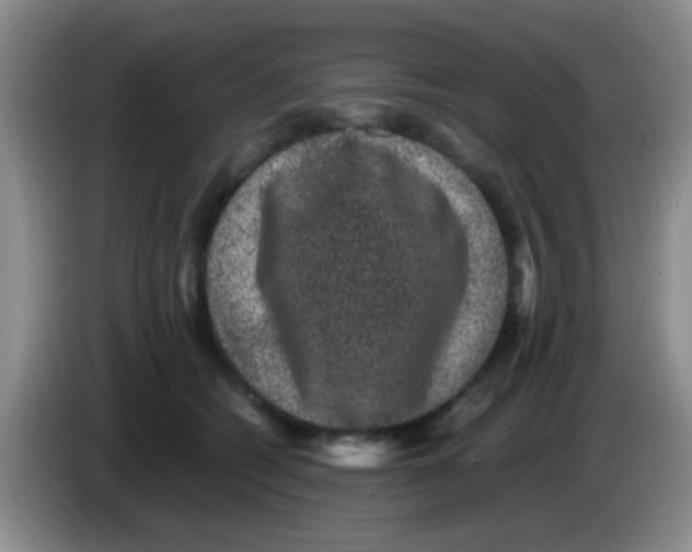 X0000083580562200703091701