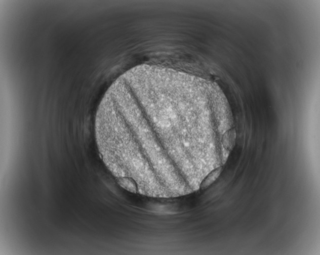 X0000083580563200703091701