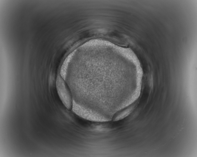 X0000083580564200703091701