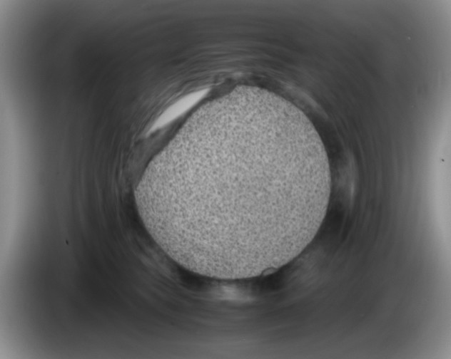 X0000083580565200703091701