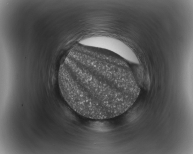 X0000083580566200703091701