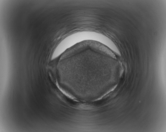 X0000083580568200703091701