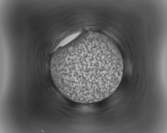 X0000083580569200703091701