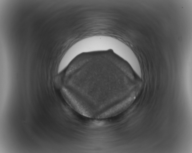 X0000083580570200703091701
