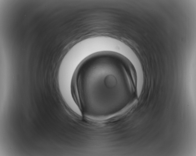 X0000083580572200703091701