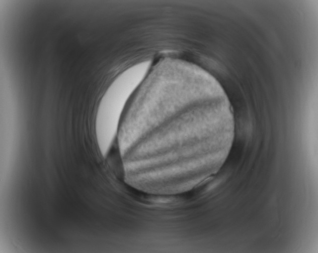 X0000083580575200703091701