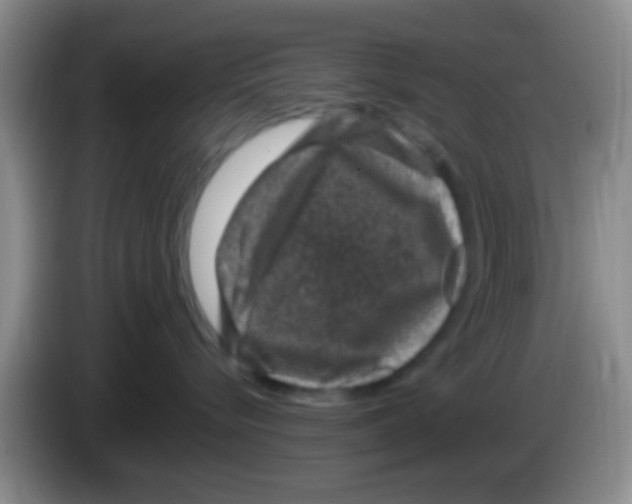 X0000083580576200703091701