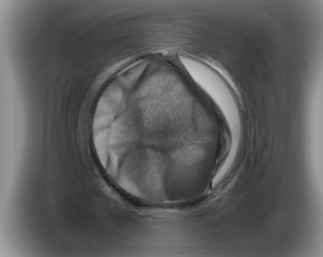 X0000083580577200703091700