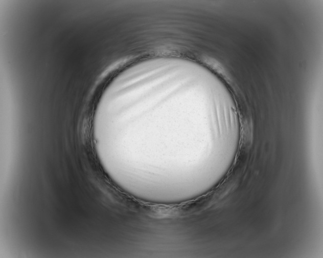 X0000083580579200703091700