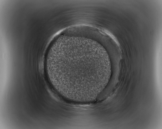 X0000083580580200703091700