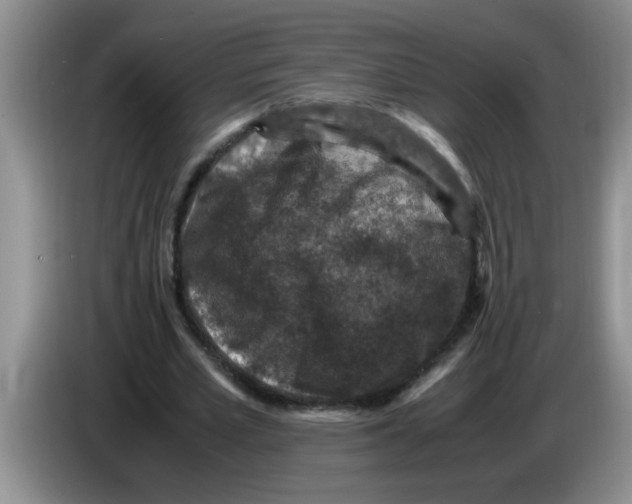 X0000083580581200703091700
