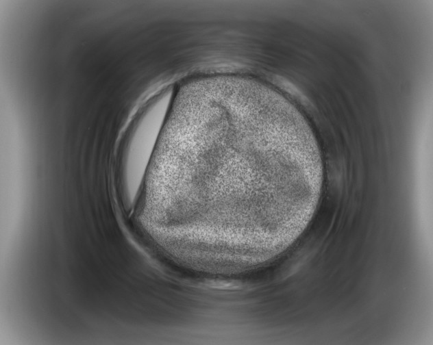 X0000083580582200703091700