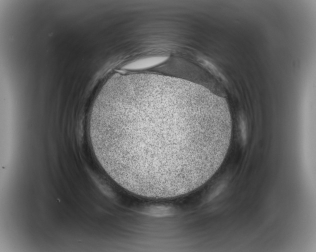 X0000083580586200703091700