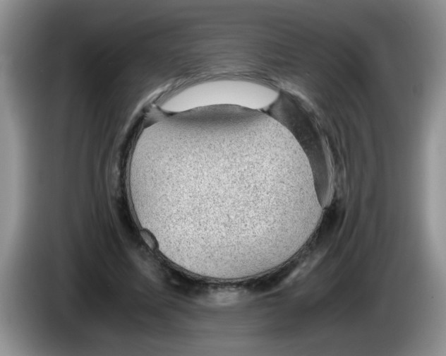 X0000083580587200703091700