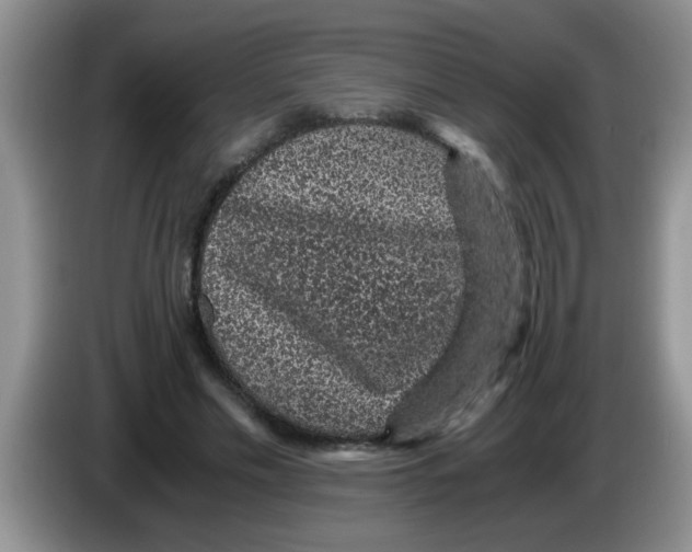 X0000083580589200703091700