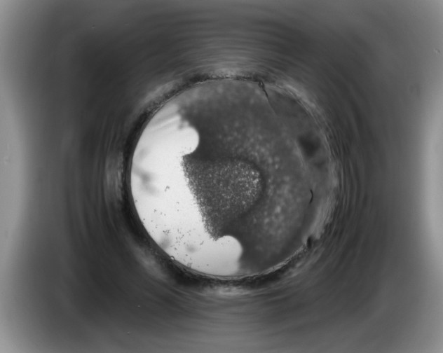 X0000083580590200703091700