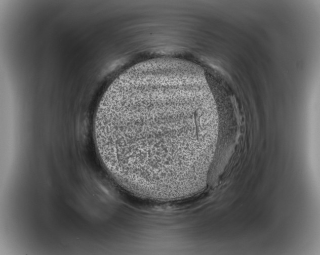 X0000083580591200703091700