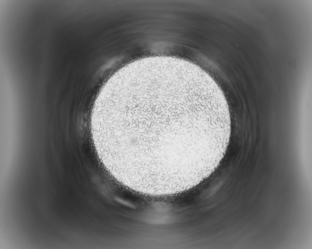X0000083580592200703091700