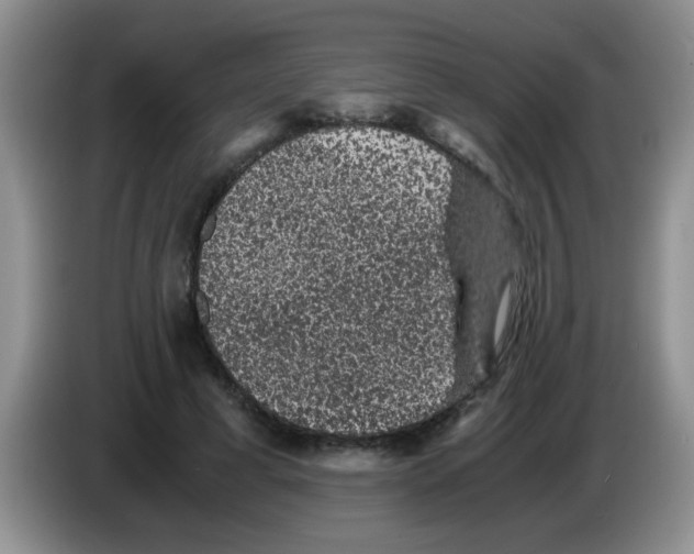 X0000083580593200703091700