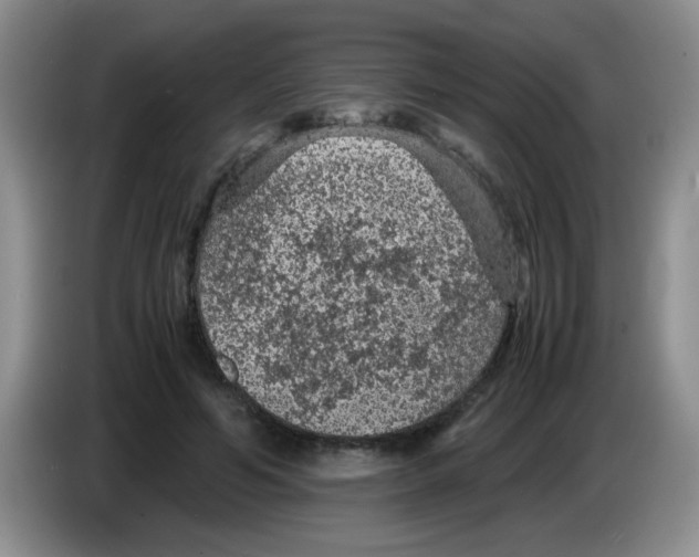 X0000083580594200703091700