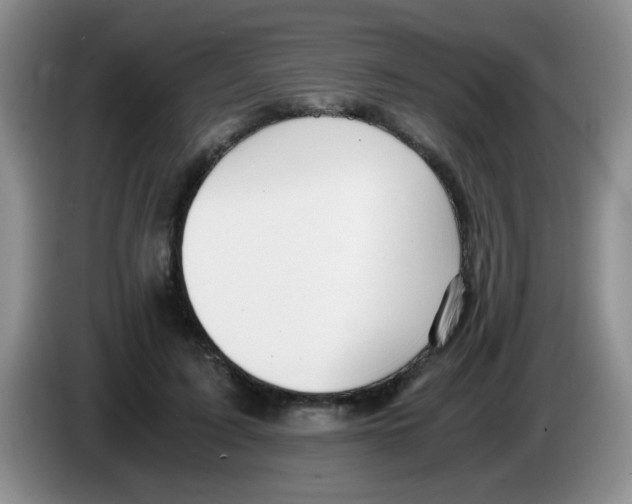 X0000083580595200703091700
