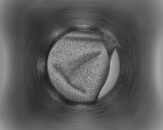 X0000083580596200703091700