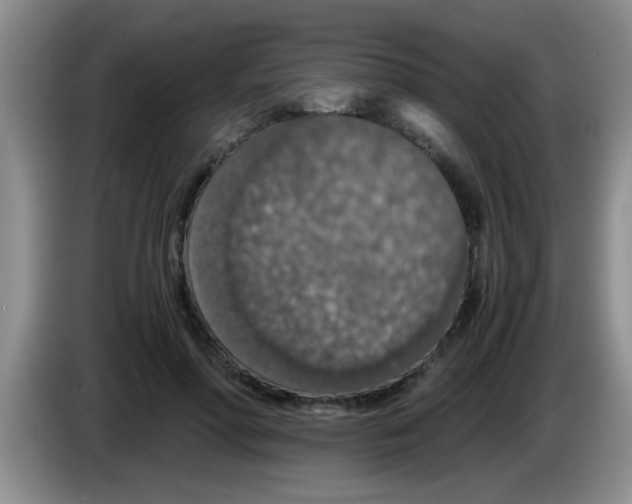 X0000083580598200703091700